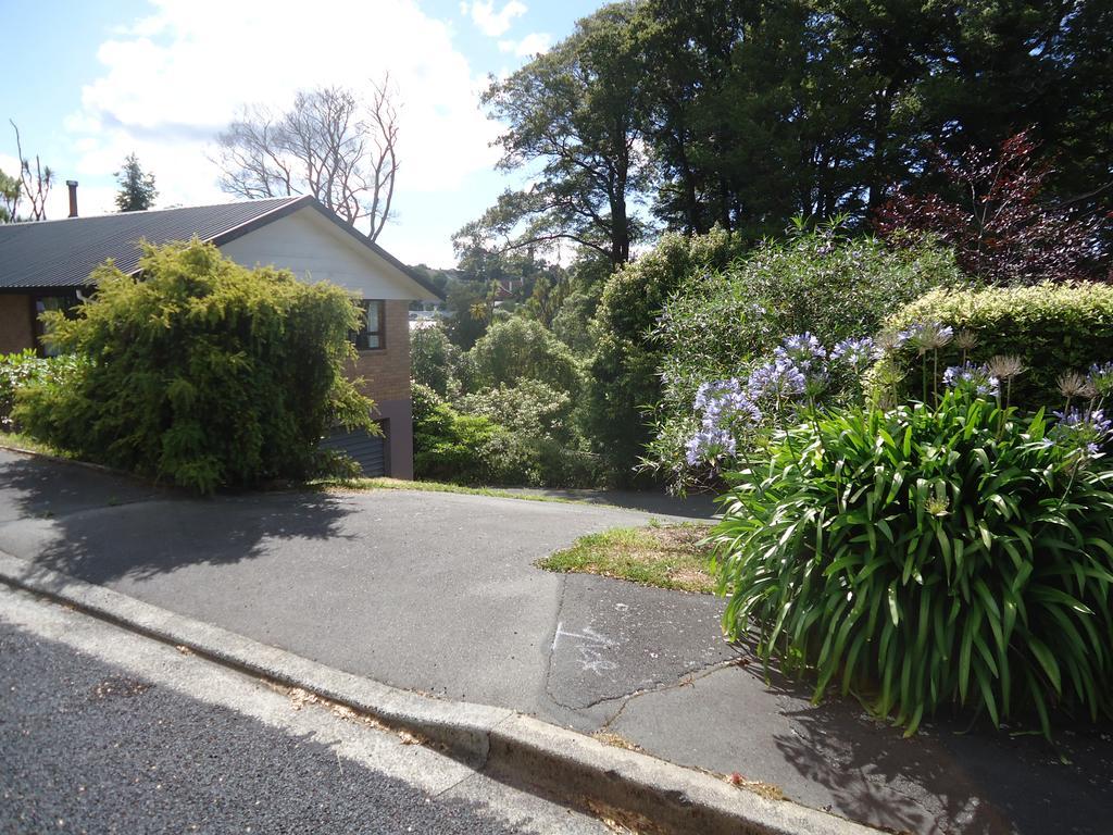 Wakari Holiday Home Dunedin Extérieur photo